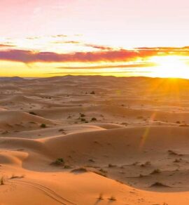 merzouga camel trek and tour