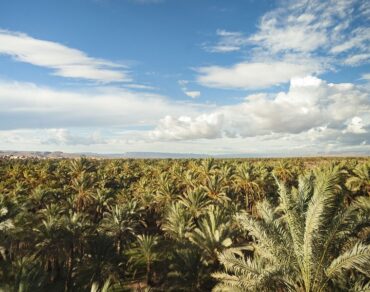 2 Days Marrakech to Zagora desert excursion