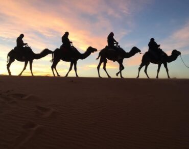 5 Days from Ouarzazate to Marrakech via Sahara desert
